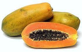 papaia carica 2 (2).jpg